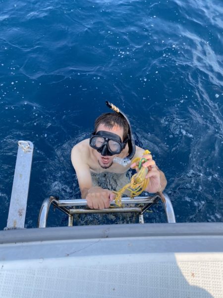 アマテラス 釣果