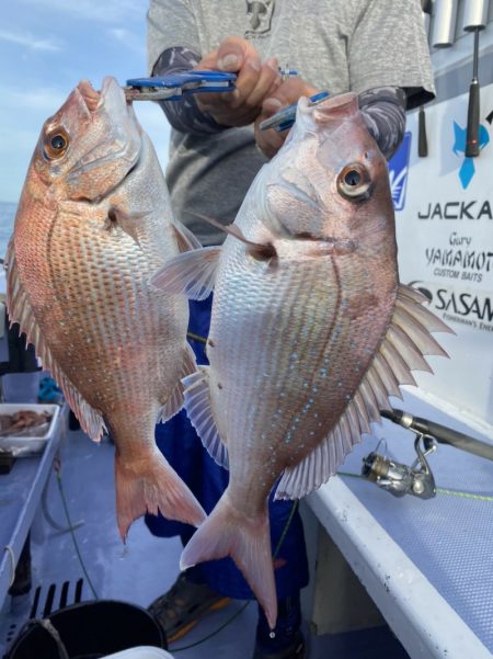 新幸丸 釣果