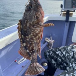 新幸丸 釣果