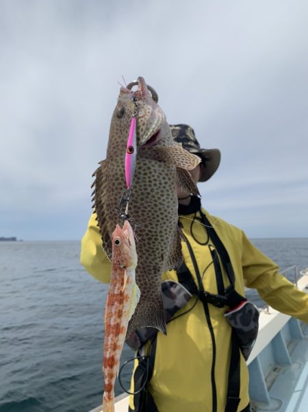 きずなまりん 釣果