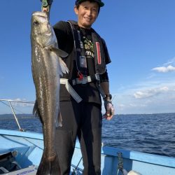 アマテラス 釣果