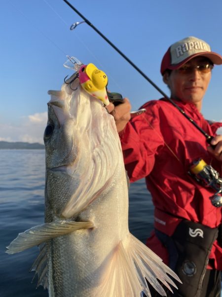 アマテラス 釣果