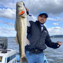 アマテラス 釣果