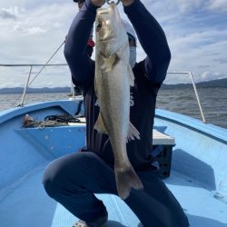 アマテラス 釣果