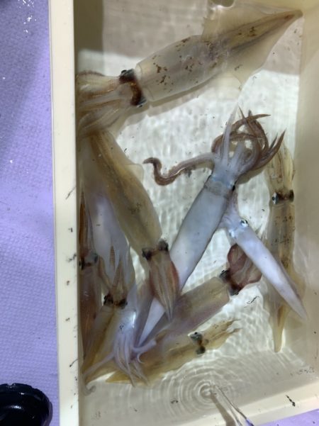 海龍丸(石川) 釣果