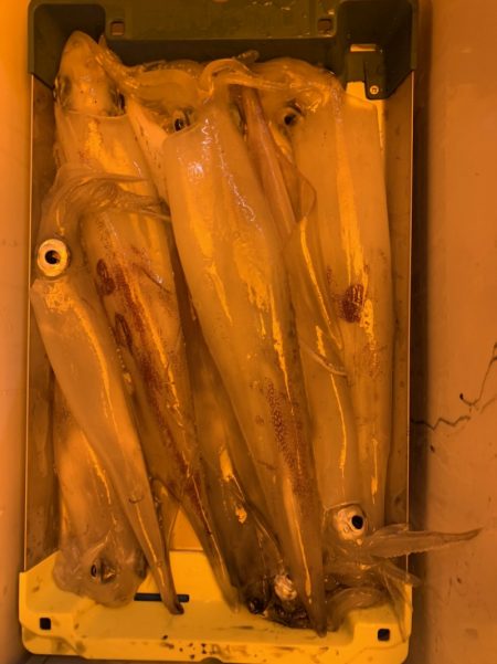 海龍丸(石川) 釣果