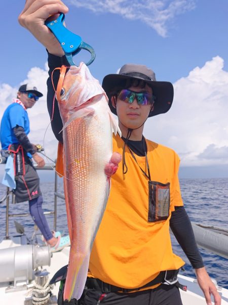 ARCADIAⅡ （アルカディアⅡ） 釣果