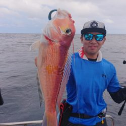 ARCADIAⅡ （アルカディアⅡ） 釣果