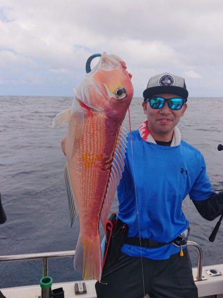 ARCADIAⅡ （アルカディアⅡ） 釣果