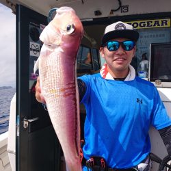 ARCADIAⅡ （アルカディアⅡ） 釣果