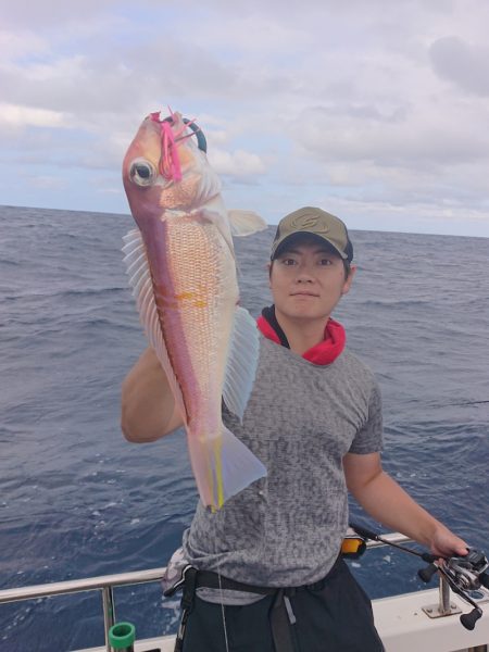 ARCADIAⅡ （アルカディアⅡ） 釣果