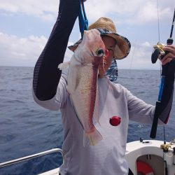 ARCADIAⅡ （アルカディアⅡ） 釣果