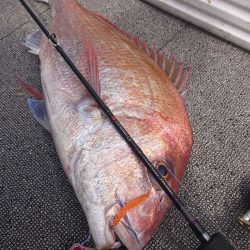 ARCADIAⅡ （アルカディアⅡ） 釣果