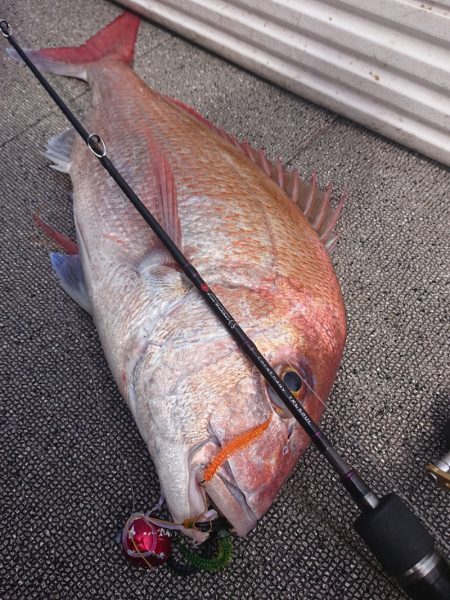 ARCADIAⅡ （アルカディアⅡ） 釣果