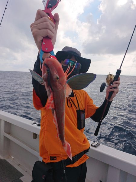 ARCADIAⅡ （アルカディアⅡ） 釣果