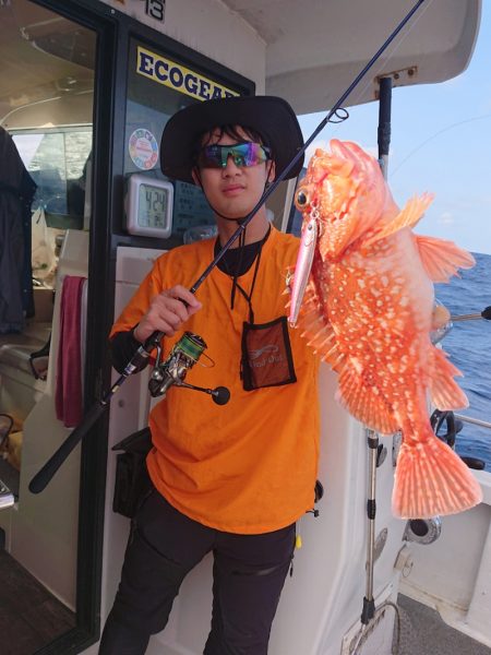 ARCADIAⅡ （アルカディアⅡ） 釣果