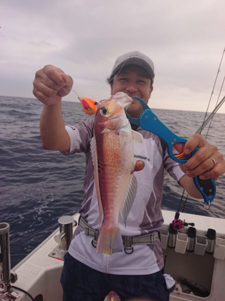 ARCADIAⅡ (アルカディアⅡ) 釣果