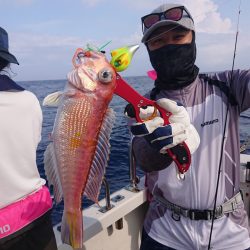 ARCADIAⅡ (アルカディアⅡ) 釣果