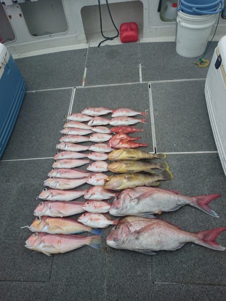 ARCADIAⅡ (アルカディアⅡ) 釣果