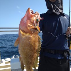 光生丸 釣果