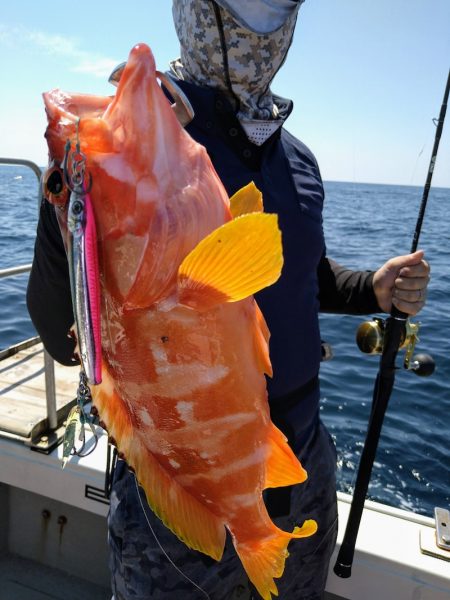 光生丸 釣果
