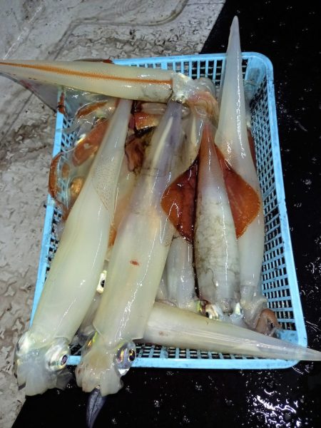 第二龍勢丸 釣果