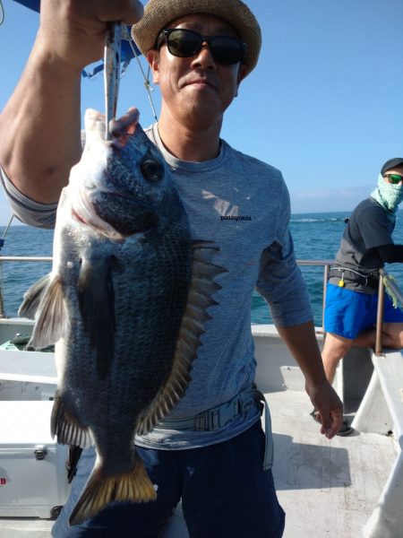 ありもと丸 釣果