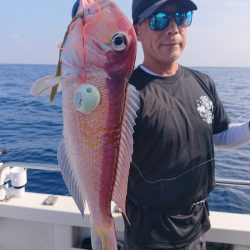 ARCADIAⅡ (アルカディアⅡ) 釣果