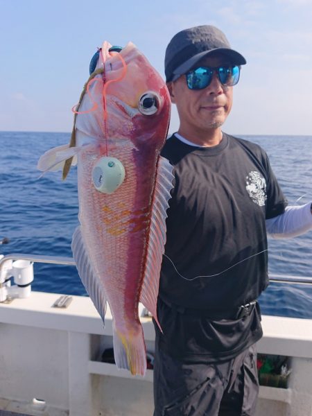 ARCADIAⅡ (アルカディアⅡ) 釣果