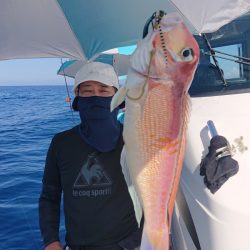 ARCADIAⅡ (アルカディアⅡ) 釣果