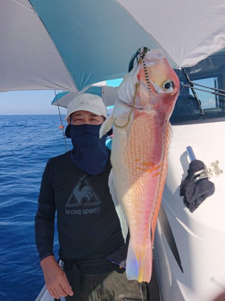 ARCADIAⅡ (アルカディアⅡ) 釣果