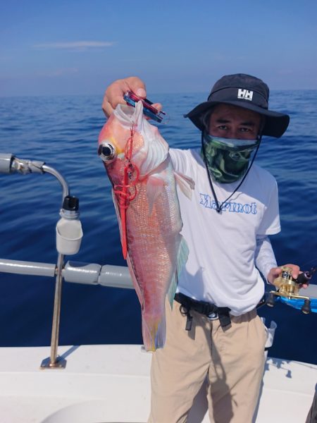 ARCADIAⅡ (アルカディアⅡ) 釣果