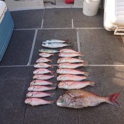 ARCADIAⅡ (アルカディアⅡ) 釣果