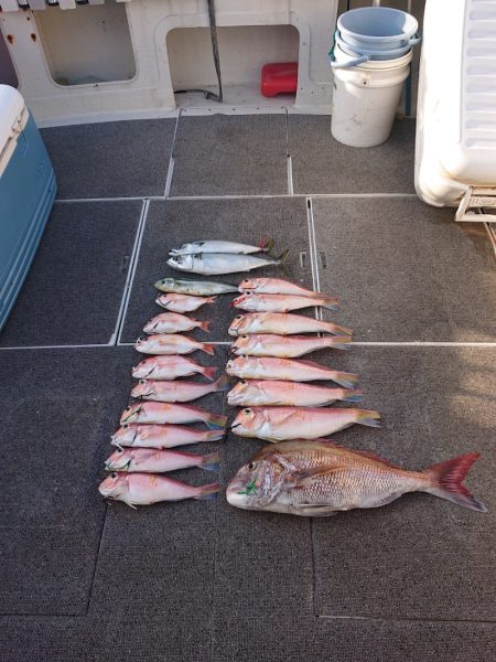 ARCADIAⅡ (アルカディアⅡ) 釣果