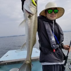 アマテラス 釣果