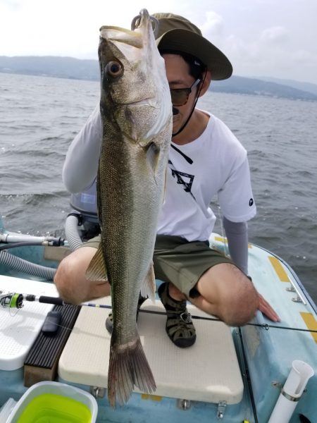 アマテラス 釣果