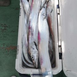 金沢八景鴨下丸 釣果