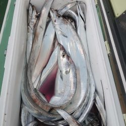 金沢八景鴨下丸 釣果