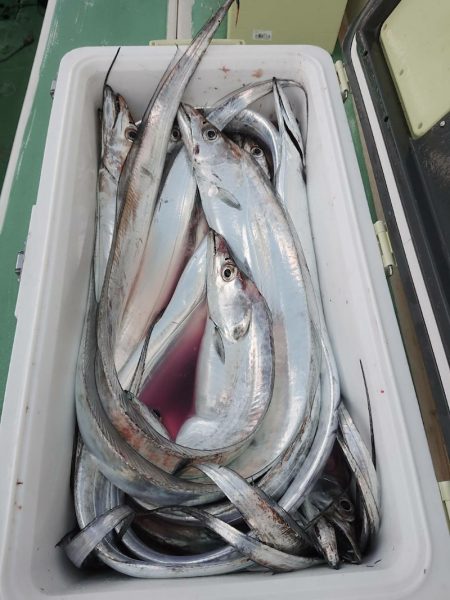 金沢八景鴨下丸 釣果