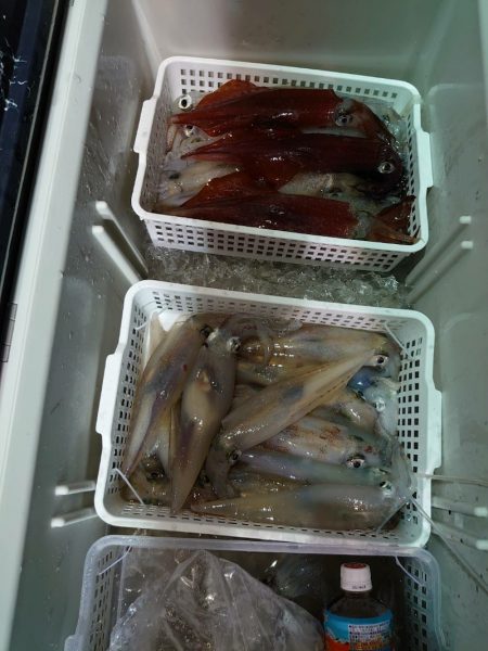海龍丸（石川） 釣果