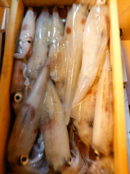 海龍丸（石川） 釣果