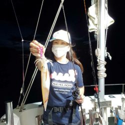 シーライオン 釣果