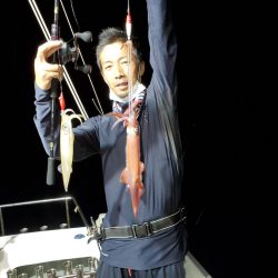 シーライオン 釣果