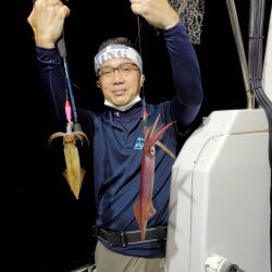 シーライオン 釣果