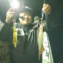 シーライオン 釣果