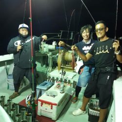 シーライオン 釣果