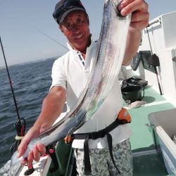 金沢八景鴨下丸 釣果