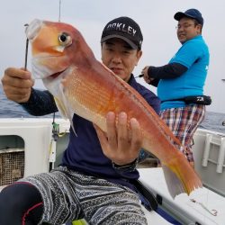 アマテラス 釣果