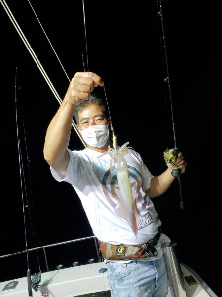 シーライオン 釣果