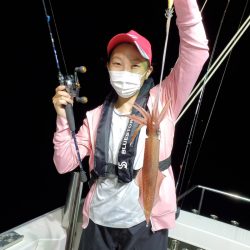 シーライオン 釣果